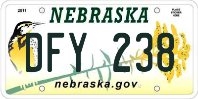 NE license plate DFY238