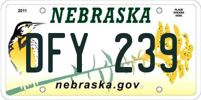 NE license plate DFY239