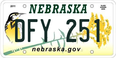 NE license plate DFY251