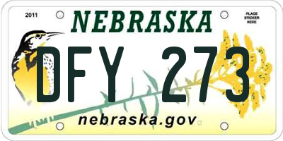 NE license plate DFY273