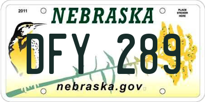 NE license plate DFY289