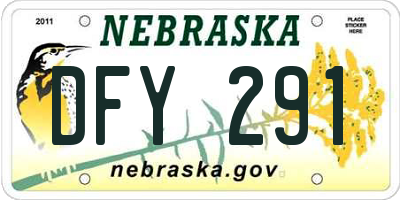 NE license plate DFY291