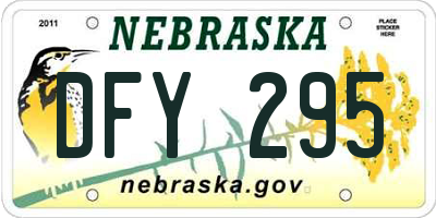 NE license plate DFY295