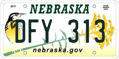 NE license plate DFY313