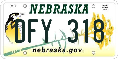 NE license plate DFY318