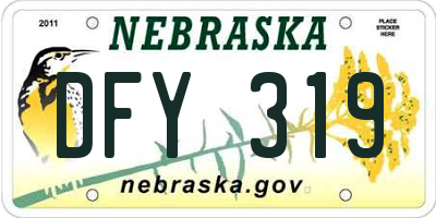 NE license plate DFY319