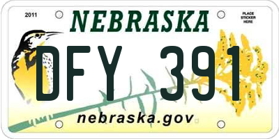 NE license plate DFY391