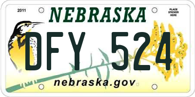 NE license plate DFY524