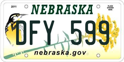 NE license plate DFY599