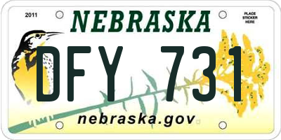 NE license plate DFY731