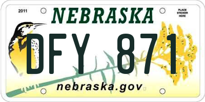 NE license plate DFY871