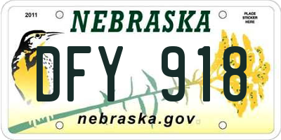 NE license plate DFY918