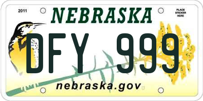NE license plate DFY999