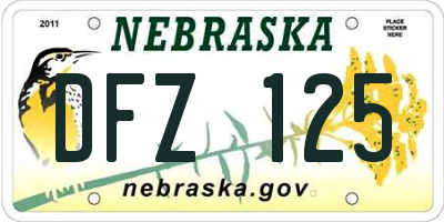 NE license plate DFZ125