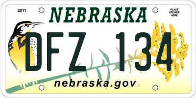 NE license plate DFZ134