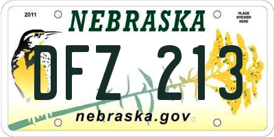 NE license plate DFZ213
