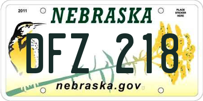 NE license plate DFZ218