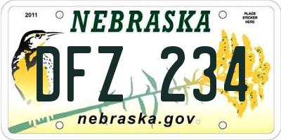 NE license plate DFZ234