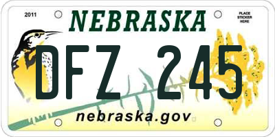 NE license plate DFZ245