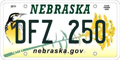 NE license plate DFZ250