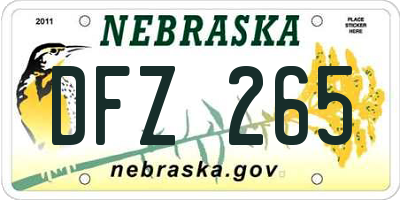 NE license plate DFZ265