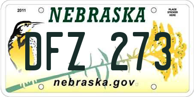 NE license plate DFZ273
