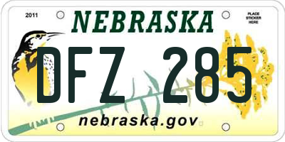NE license plate DFZ285