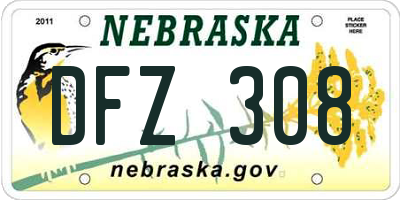 NE license plate DFZ308