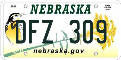 NE license plate DFZ309