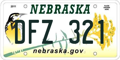 NE license plate DFZ321