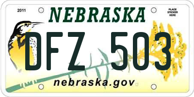 NE license plate DFZ503