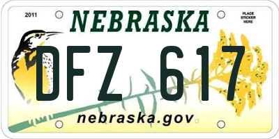 NE license plate DFZ617