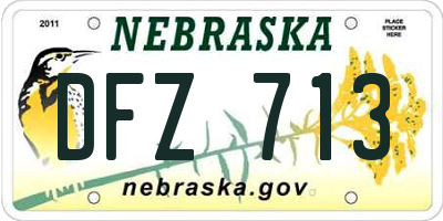 NE license plate DFZ713