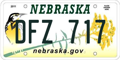 NE license plate DFZ717