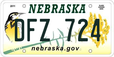 NE license plate DFZ724