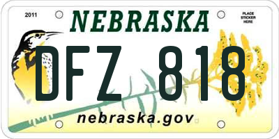 NE license plate DFZ818