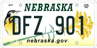 NE license plate DFZ901
