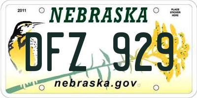 NE license plate DFZ929