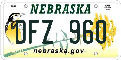 NE license plate DFZ960