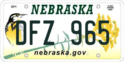 NE license plate DFZ965