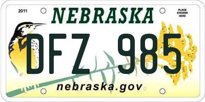 NE license plate DFZ985