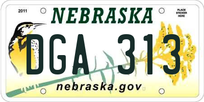 NE license plate DGA313