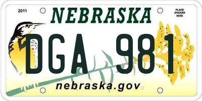 NE license plate DGA981