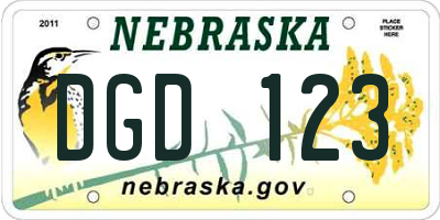 NE license plate DGD123