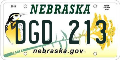 NE license plate DGD213