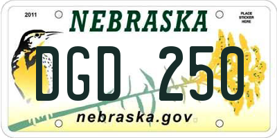 NE license plate DGD250