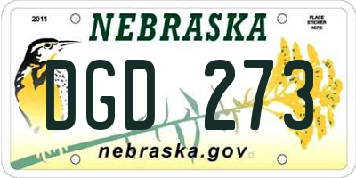 NE license plate DGD273