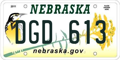 NE license plate DGD613