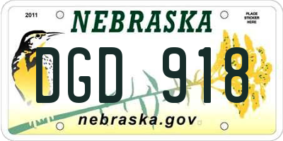 NE license plate DGD918