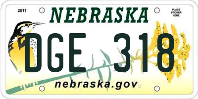 NE license plate DGE318